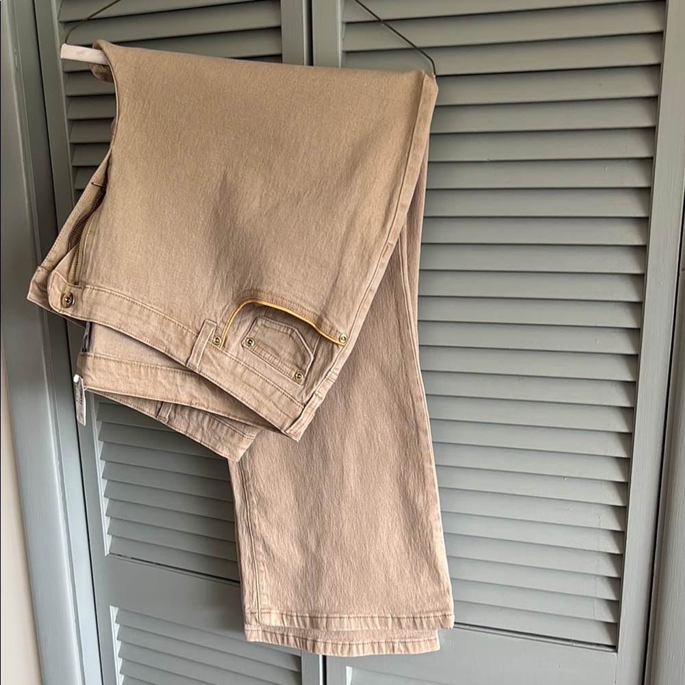 DG2 by Diane Gilman Tan Pants with Gold Accent